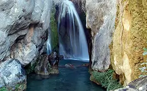阿利坎特