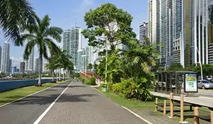 巴尔博亚