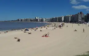 蒙德维的亚