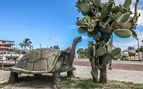 巴克里索莫雷诺