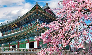 首尔